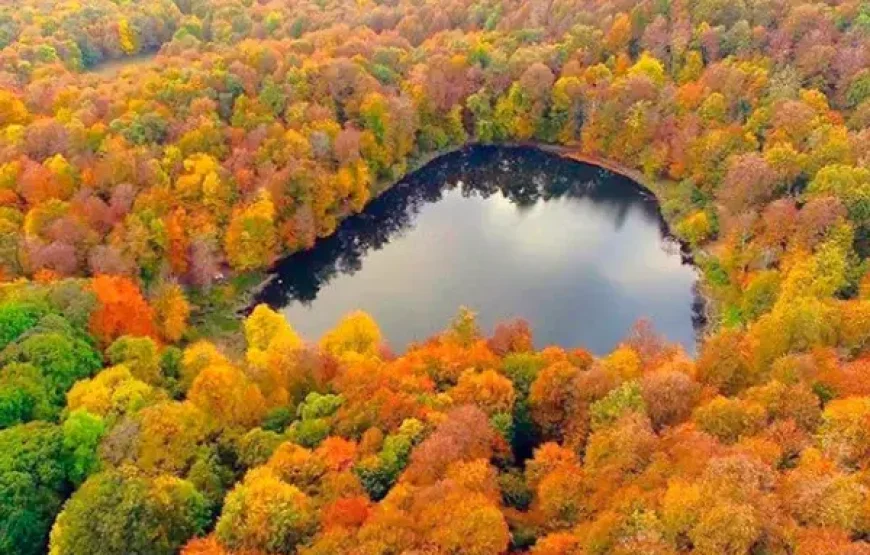 Индивидуальный тур в Дилижан, Дилижанский национальный парк, озеро Парз и Гошаванк