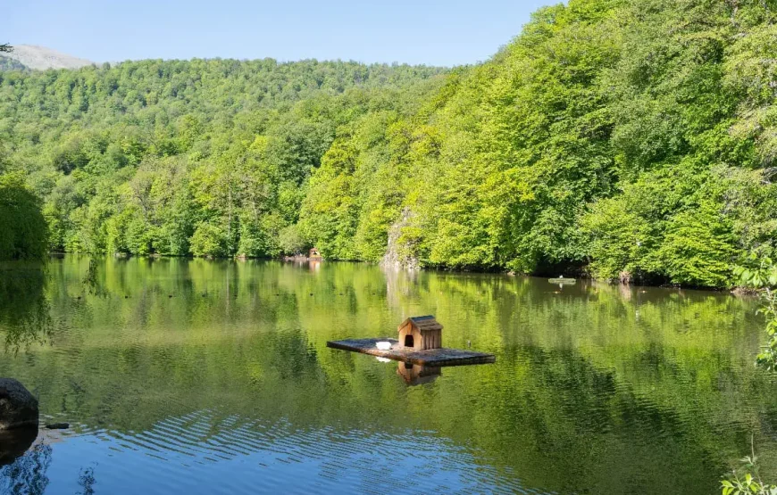 Индивидуальный тур в Дилижан, Дилижанский национальный парк, озеро Парз и Гошаванк