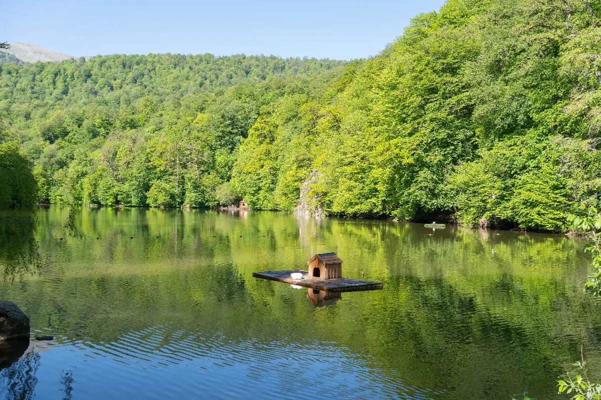 Lake Parz Dilijan