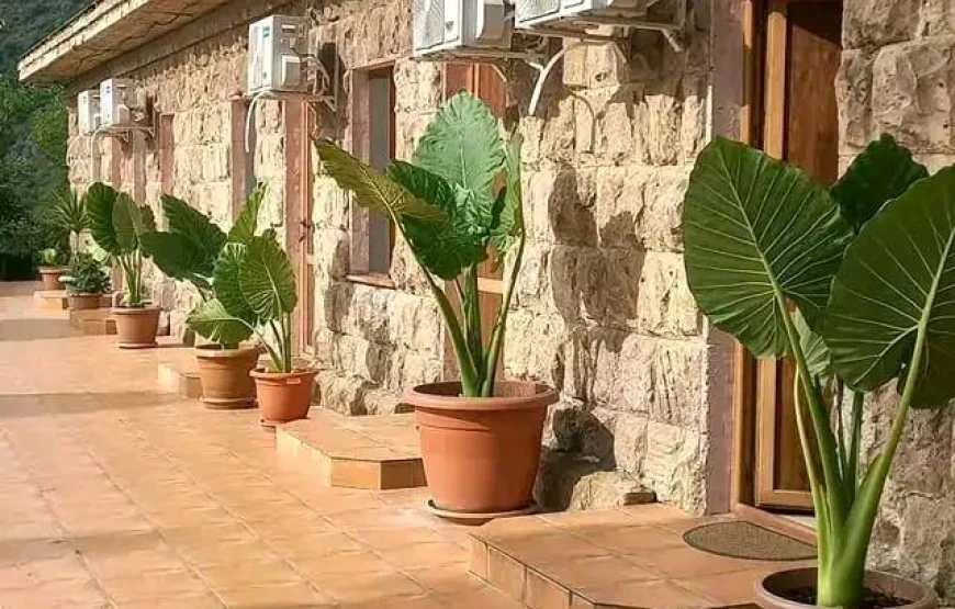 Tour to Haghpat, Zarni Parni Cave Castle, Aramyants Castle and Sanahin