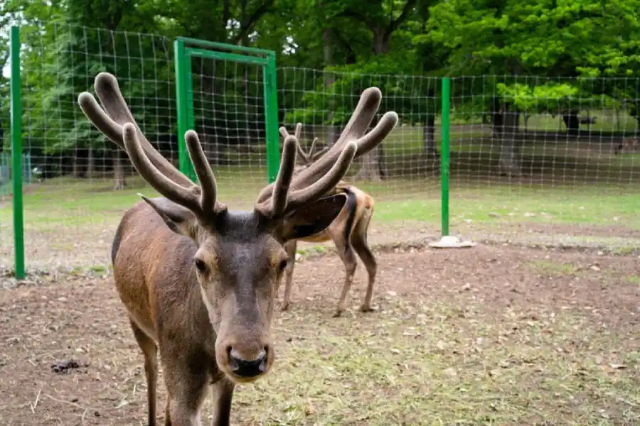 Dilijan National Park Dilijan National Park