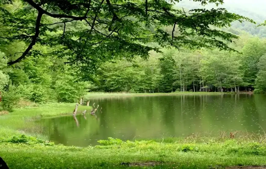 Индивидуальный тур на Севан, Севанаванк, Гошаванк и Озеро Гош